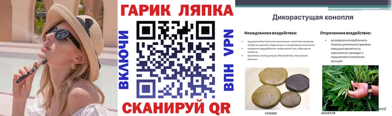 ГАШ Premium  Купить где  Славгород 