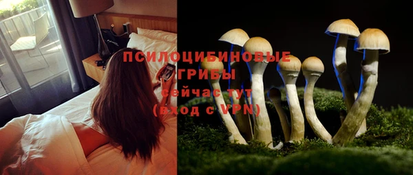 твердый Богородицк
