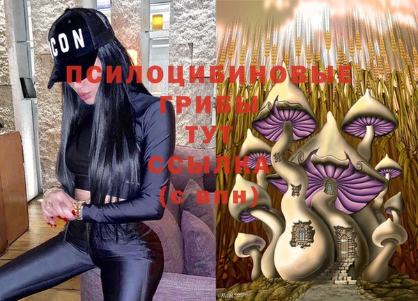 твердый Богородицк